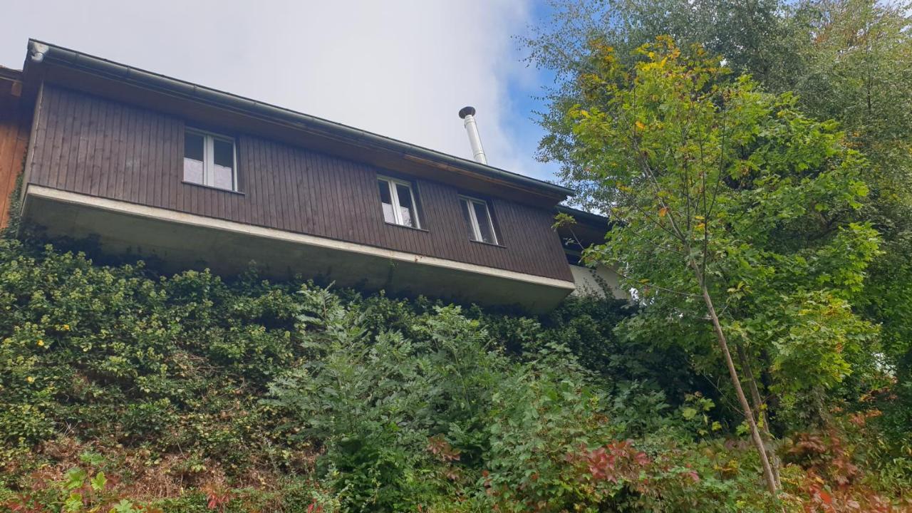 Ferienwohnung Auf Dem Bueckle Kleines Wiesental Extérieur photo
