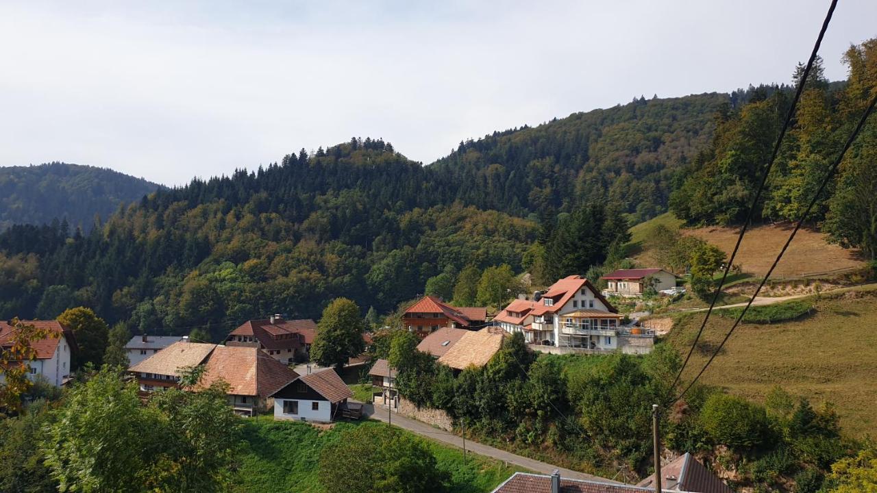 Ferienwohnung Auf Dem Bueckle Kleines Wiesental Extérieur photo