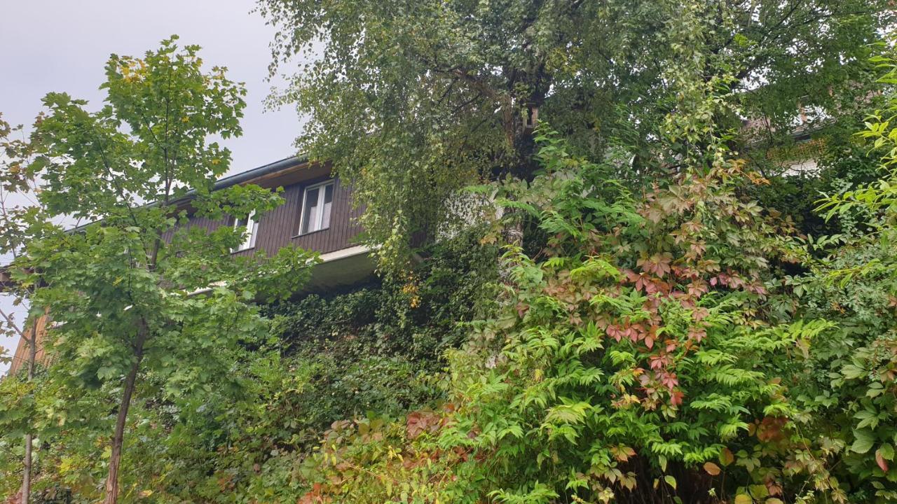Ferienwohnung Auf Dem Bueckle Kleines Wiesental Extérieur photo
