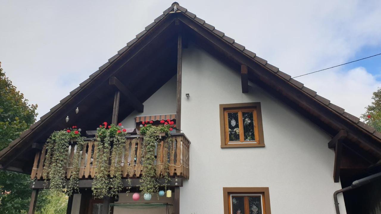 Ferienwohnung Auf Dem Bueckle Kleines Wiesental Extérieur photo